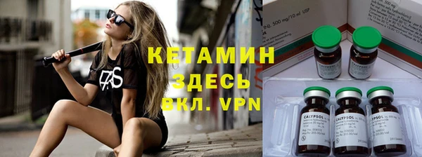 трава Белокуриха