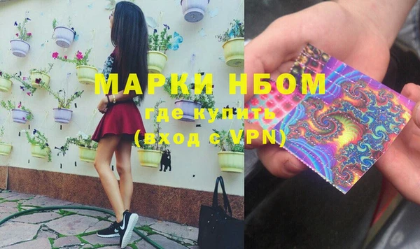 трава Белокуриха