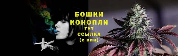 СК Беломорск
