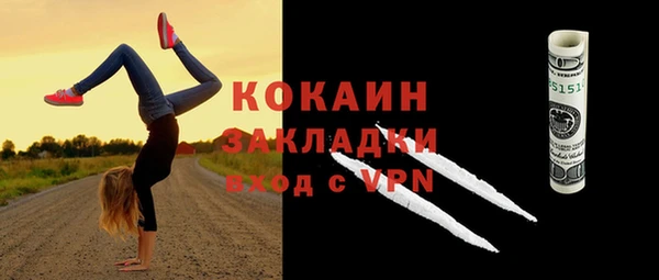 трава Белокуриха