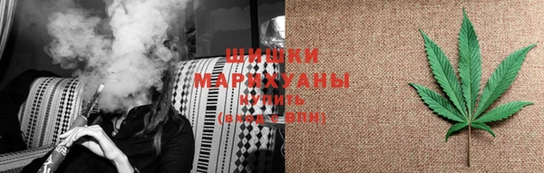 трава Белокуриха